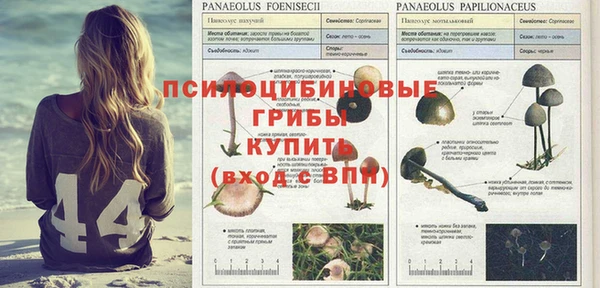мяу мяу кристалл Касимов