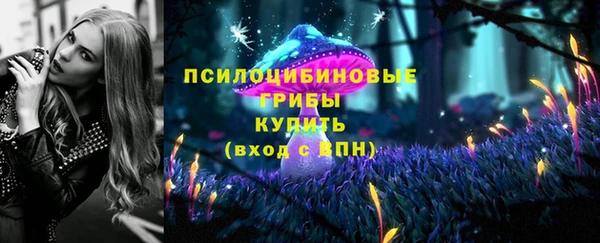 MDMA Карпинск