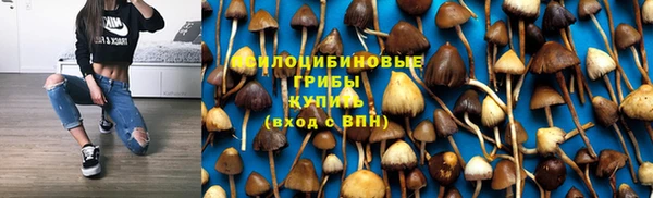 MDMA Карпинск